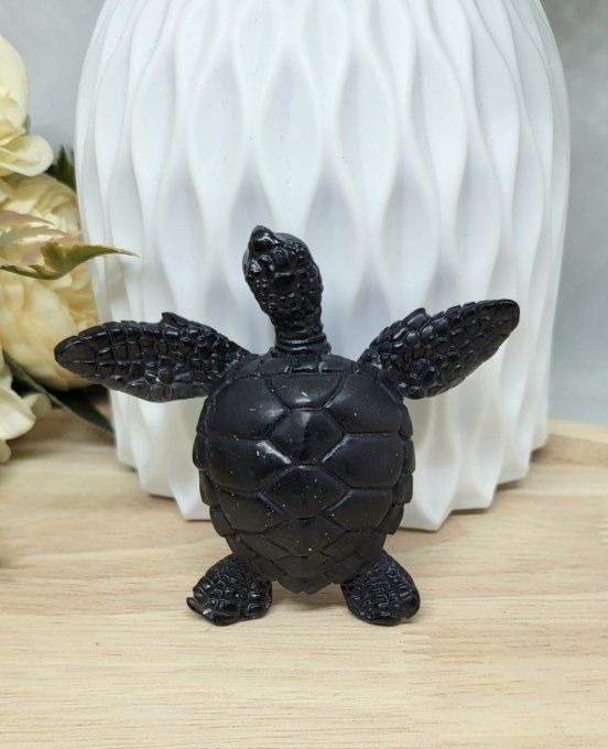 Petite Tortue 