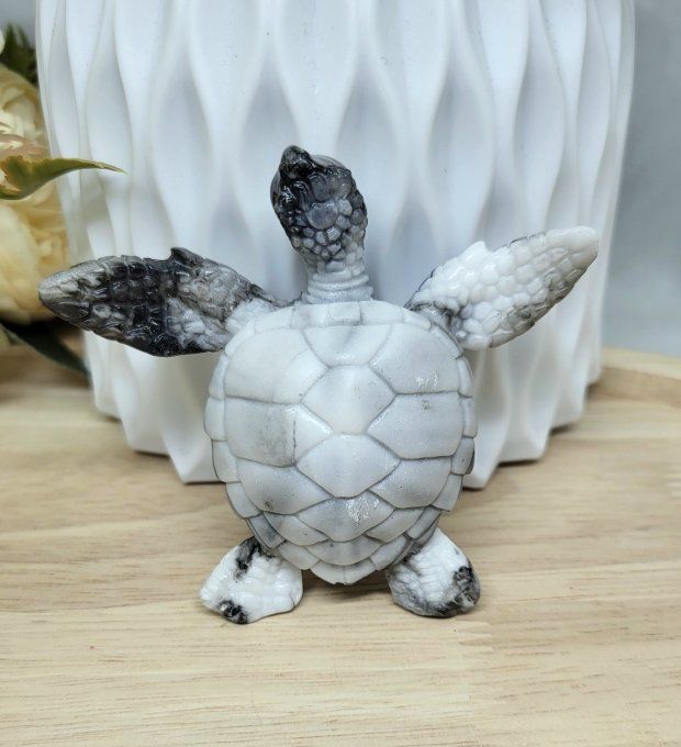 Petite Tortue 