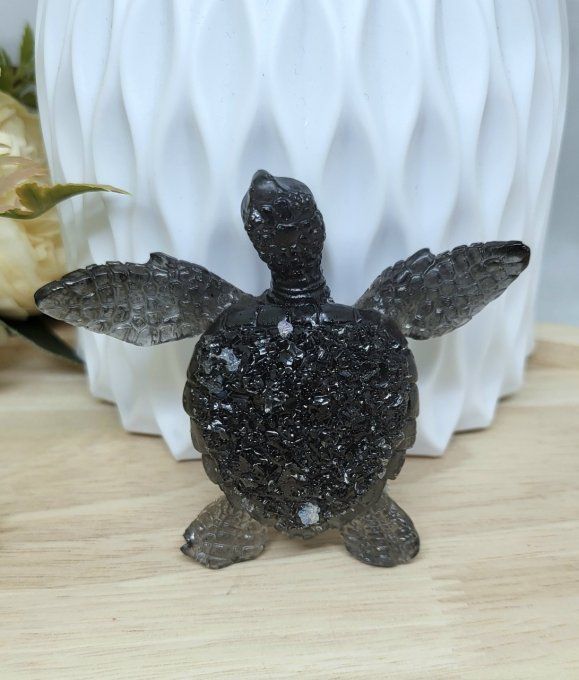 Petite Tortue 