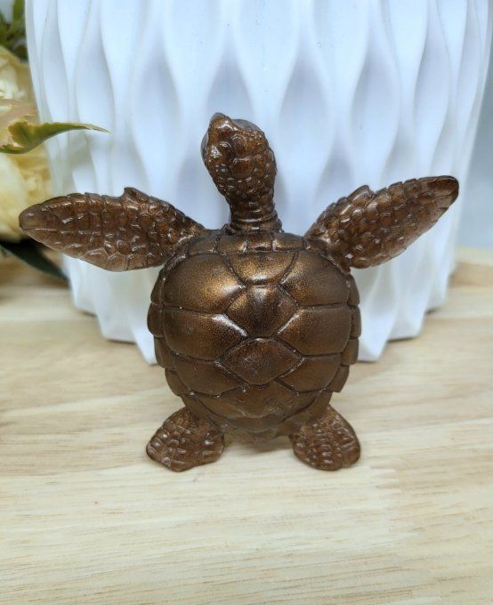 Petite Tortue 