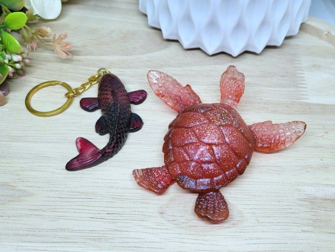 Pack tortue carpe koi