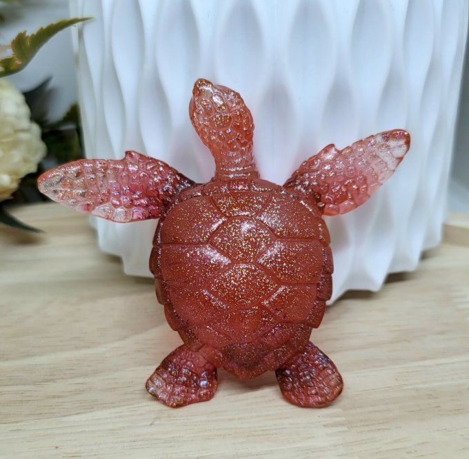 Pack tortue carpe koi