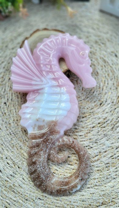 Hippocampe 