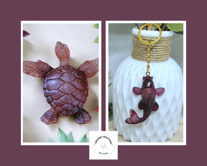 Pack tortue carpe koi